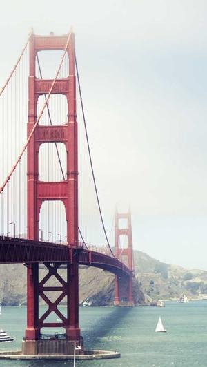 快播官方下载2014截图3